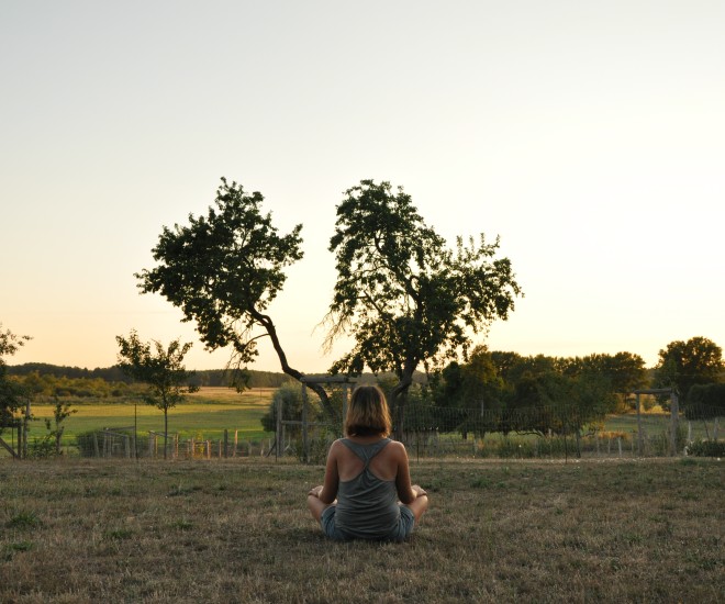 Meditierende Frau im Schneidersitz vor Baum bei Sonnenaufgang
