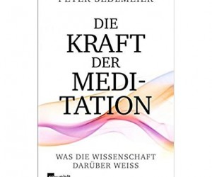 Buchcover Peter Sedlmeier