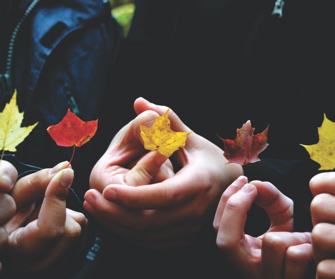 Foto Hände mit Blättern